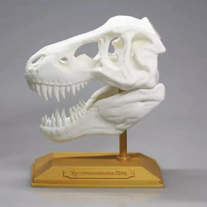 3d Plastový tisk Služba, Sls 3d tiskárna Prototyping